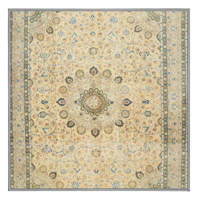 Driggers Oriental Indoor Rug