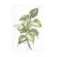 Art mural sur toile «bol»-101097822