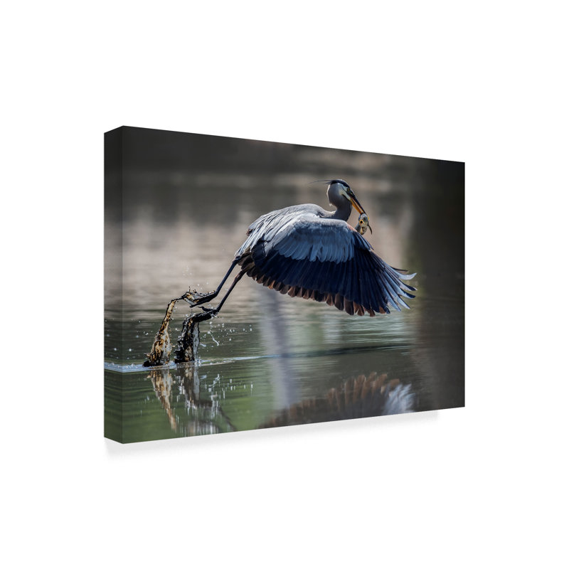 «Fishing Heron» Badgley, reproduction de photo sur toile tendue, H 16 po x l 24 po x P 2 po