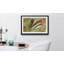 Streetart Feather Of Pheasan - Single Picture Frame Print-971515918