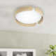 Narjis Single Light Acrylic LED Flush Mount