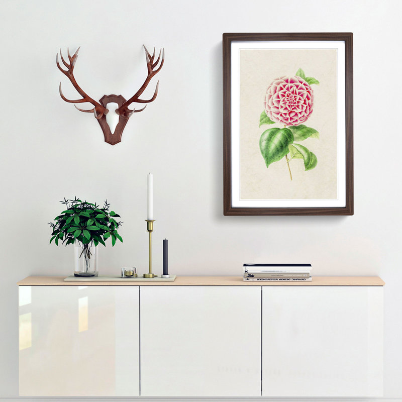 Pink Camellia Flower Illustration - Framed Print, 36cm H x 27cm W x 2cm D, Walnut Framed