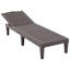 Ensemble de chaises longues d'extérieur 2 pièces, résine de polypropylène, réglable en 5 positions, résistant aux rayons UV, brun foncé-1083164526