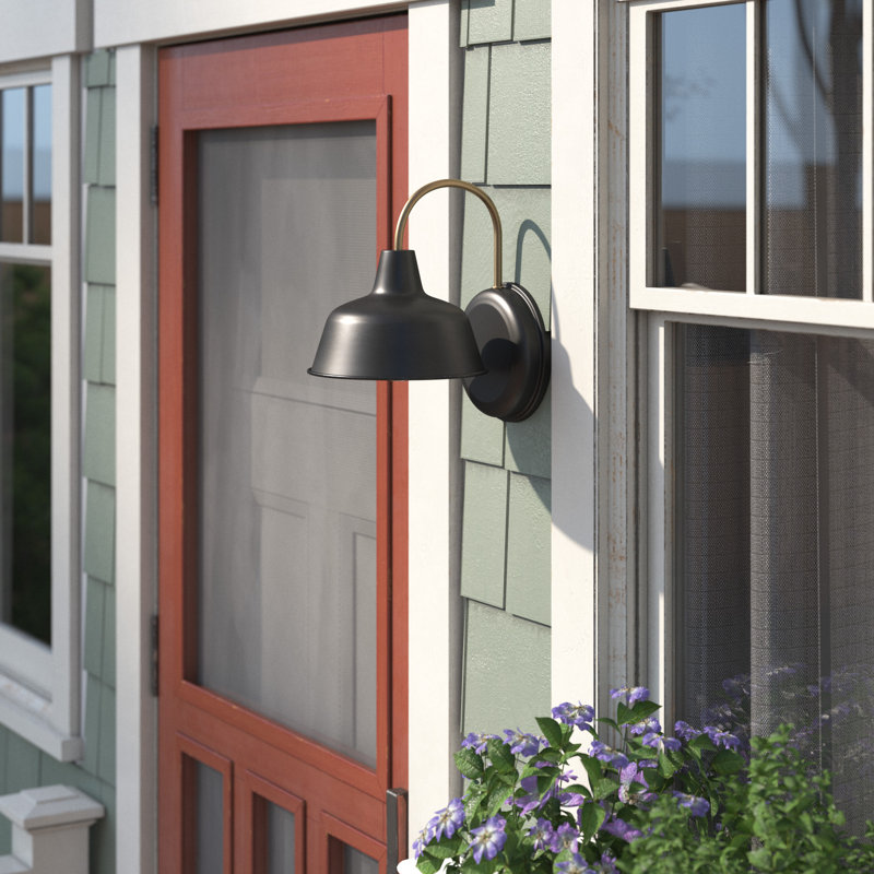 Luminaire de grange d'extérieur Jaklynn, H 13,13 po x l 10,38 po x P 12,63 po, Noir mat