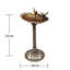 Plastic Birdbath
