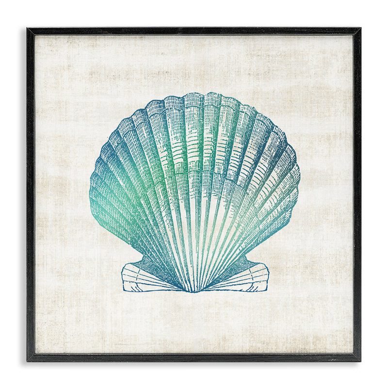 Dégradé de coquillage, estampe numérique, conception par Susan Arnot, H 17 po x l 17 po, Giclée encadrée noir minuit