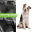 Allen Pet-952398517