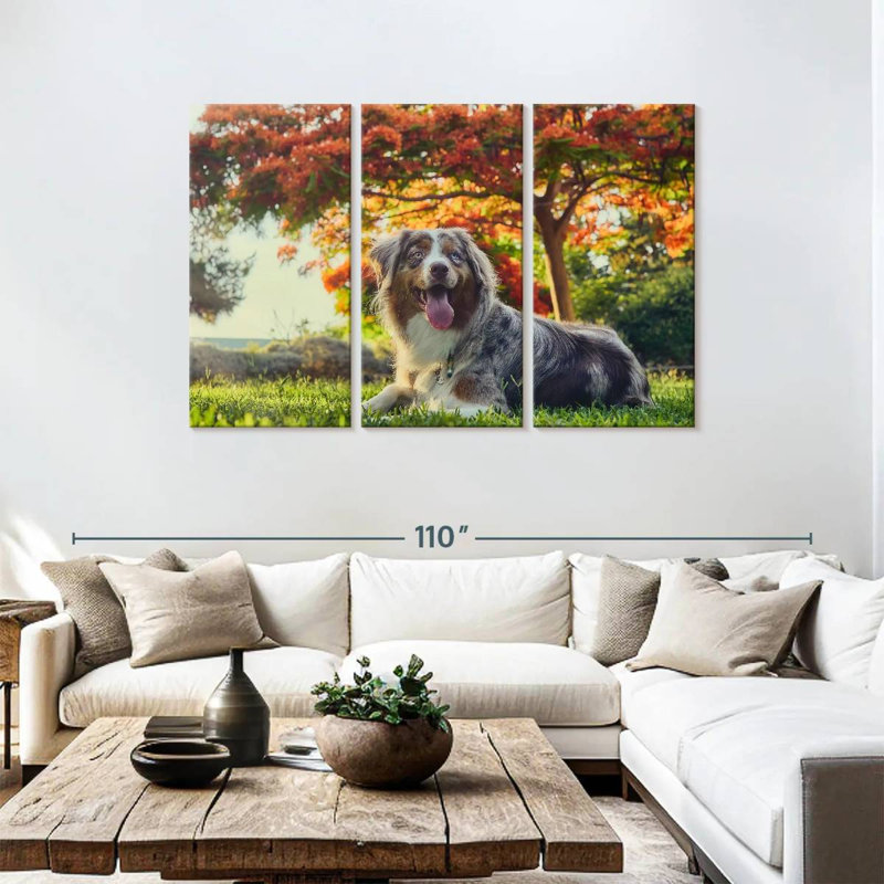 Brampt Cherry Border Collie, 48" H x 74" W