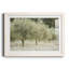 Paintograph Olive Trees - Reproduction de photo sur papier encadrée-2022088730-2022088732