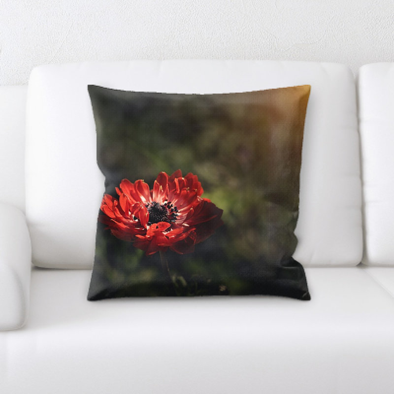 Coussin anemone