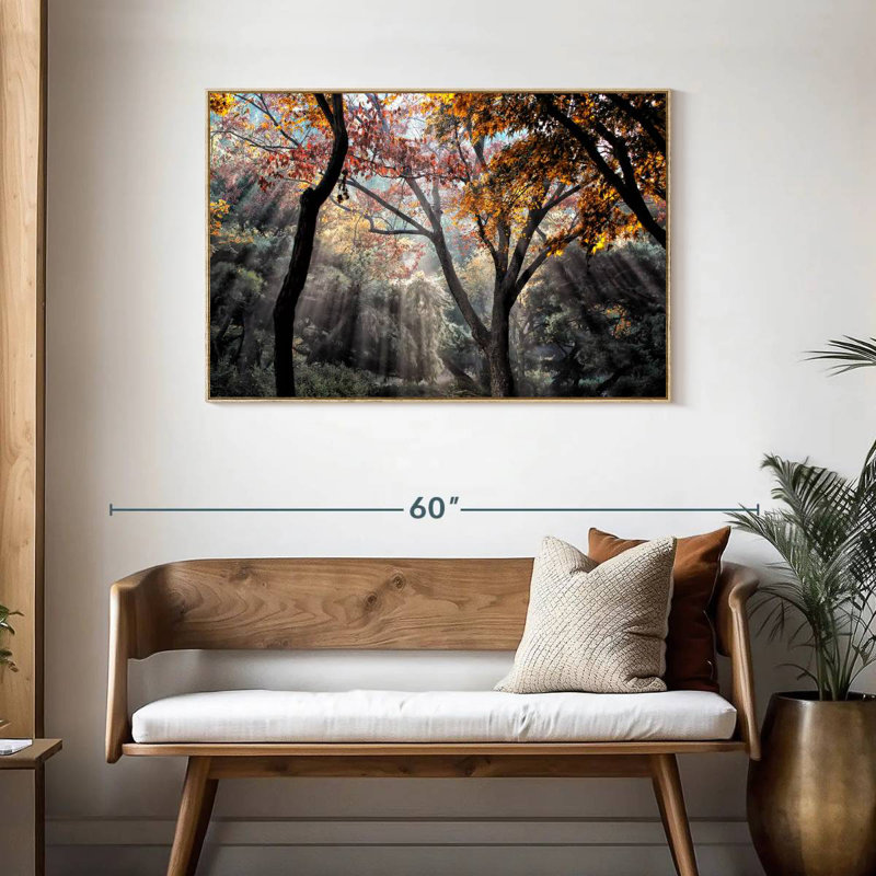 Rayons de soleil de la forêt, Cadre flottant en bois naturel, 43 po x 29 po