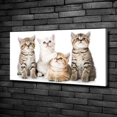 Small Cats - Wrapped Canvas Print