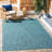 Brealynn Performance Solid Color Indoor/Outdoor Area Rug-1553249284