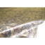 Silk Oriental Area Rug in Gold