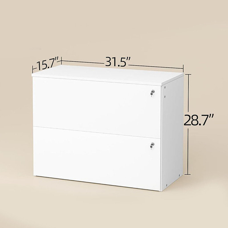 2 Drawer Mobile File Cabinet with Modern Chamfered Edge Design, for Letter, Legal, A4 Size, Under Desk Lateral File Cabinet, White