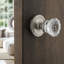 Classic Rosette with Crystal Door Knob-1060249198