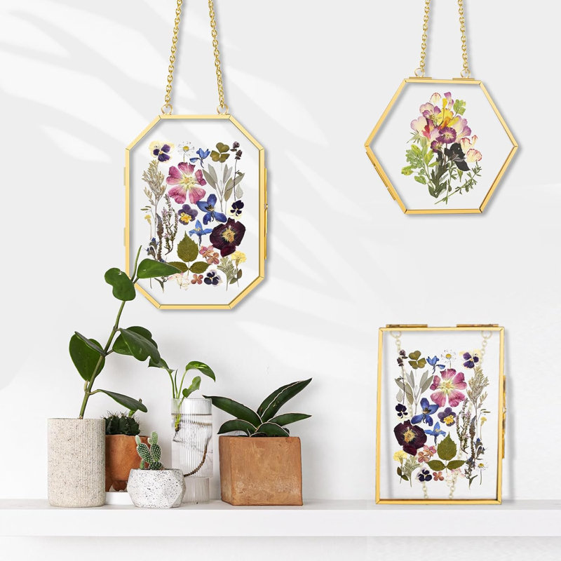 3 cadres de fleurs pressées avec pinces, cadres doubles en verre suspendus avec chaîne en métal pour plantes séchées pressées