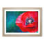 Eye of a Red Poppy Flower - Picture Frame Graphic Art Print-56712984-56712985