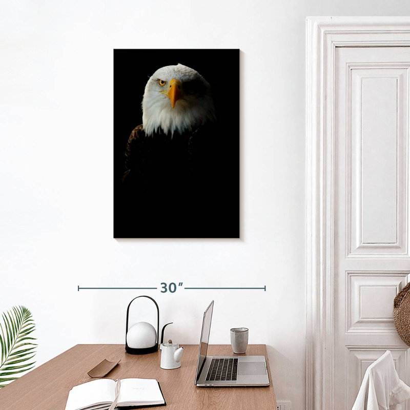 Aigle à tête blanche Brampt, H 30 po x l 20 po