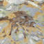 Tapis floral intérieur / extérieur lavable à la machine Chantille ACN2340-296008657