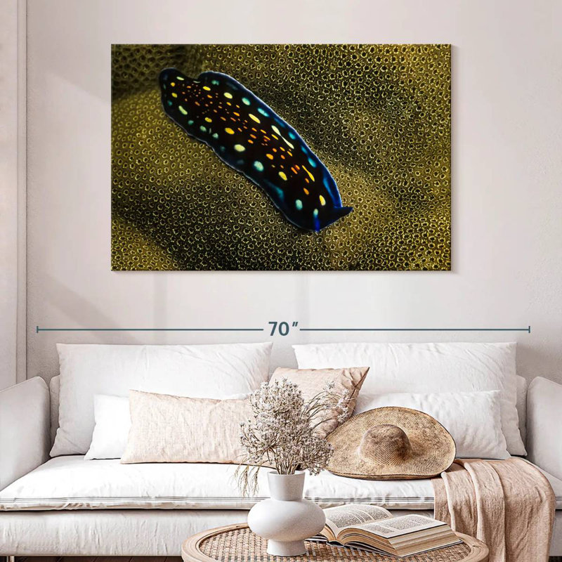 Crowle Linda's Flatworm