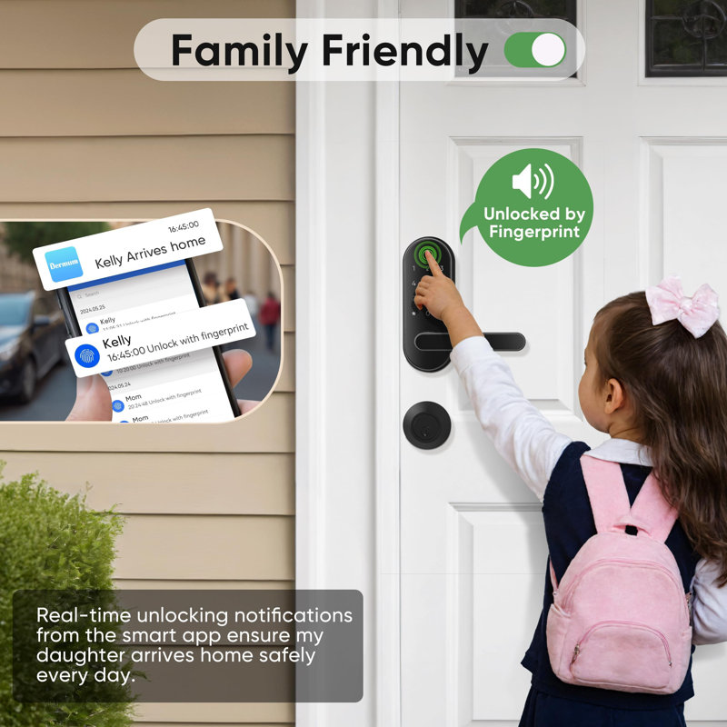 Black Keyless Entry Biometric Smart Door Lock with Keypad