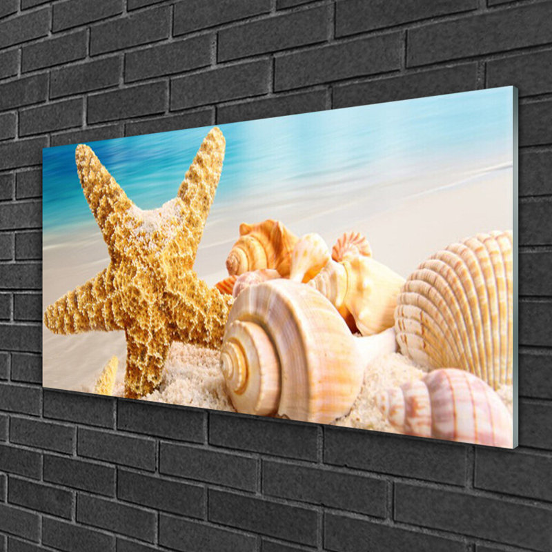 Starfish Shells - Unframed Photograph on Glass