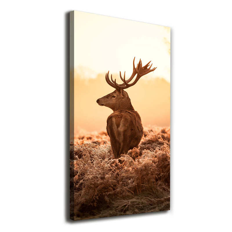 Deer Sunrise - Wrapped Canvas Print, 120cm H x 60cm W