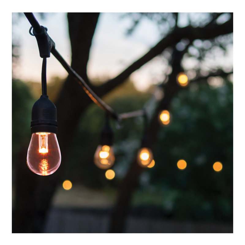 Guirlande lumineuse de remplacement 0,5 W à culot moyen de 0,5 W à culot moyen 12V TBT transparent 12V