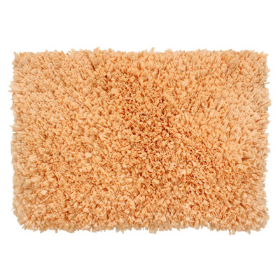 Agamjit Non-Slip Bath Rug