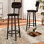 Tabouret de comptoir 24 po Lochess