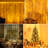 10ft x 10ft Curtain String Lights with Remote, 300 LED, Warm White