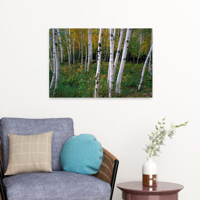 Support de bouleaux blancs, art abstrait de forêt d'automne contemporain