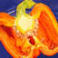 «Cut Pepper», reproduction d'art sur toile-73075894-73083146-20909427