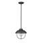 Luminaire suspendu d'extérieur 1 lumière H 10,5 po Bilger-157881813