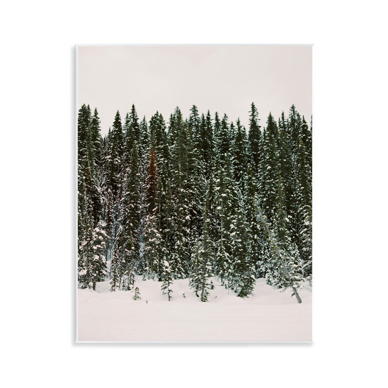 «Winter Forest Grove» par Justine Milton