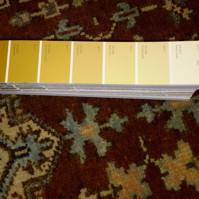 Oriental Area Rug in Orange