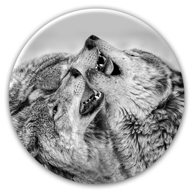 Glasspik Ring Art - No Frame Print
