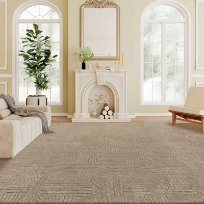 Tapis luxueux en fausse fourrure 6 x 9 pi, tapis antidérapant pour le salon, la chambre à coucher et la salle à manger