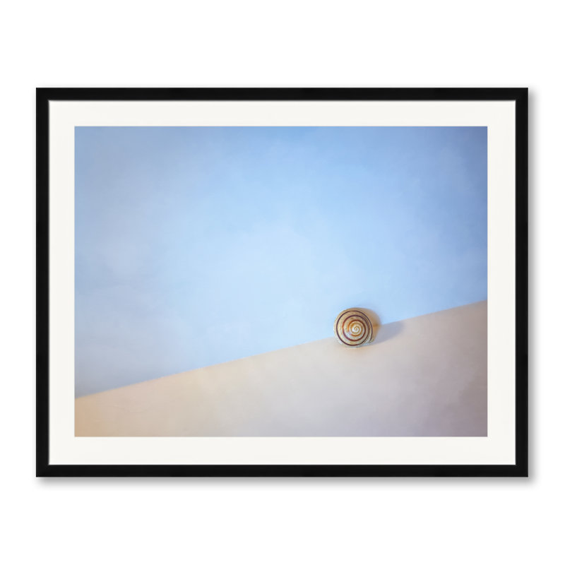 Coquillage au bord de la mer par Scott Norris - photographie, H 24 po x l 30 po, Papier avec cadre noir