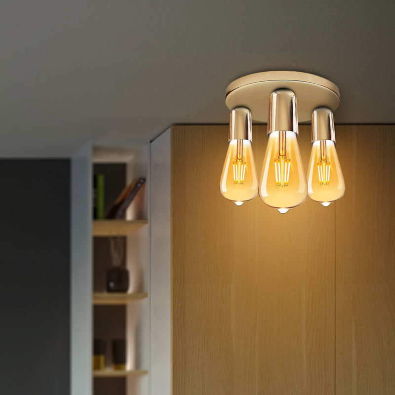 Nantan Spotlight, Yes, French Gold