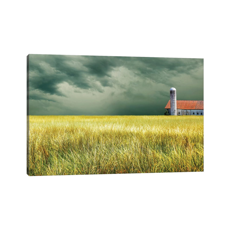 Yellow Field by James McLoughlin - Wrapped Canvas Print, 20.32 cm H x 30.48 cm W