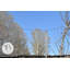 Outdoor OALS10 Area Light Photocell