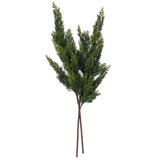 Primrue 30" Green Cedar Fern Artificial Spray 2/Bag. Features green cedar foliage.