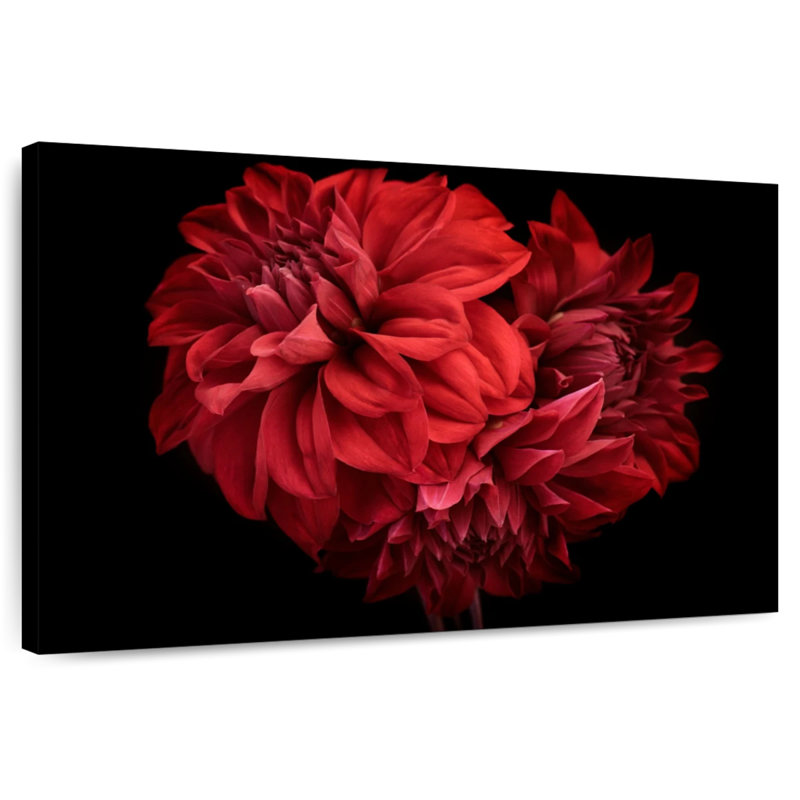 Dahlia rouge Harnek, H 8 po x l 12 po