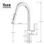 Belfry Kitchen Moindou Pull Out Kitchen Faucet