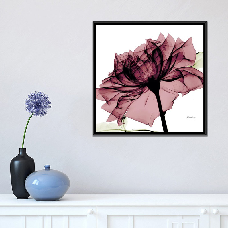 « chianti rose i », impression sur toile, H 18 po x l 18 po x P 1,5 po, Toile avec cadre noir, Pas de tapis