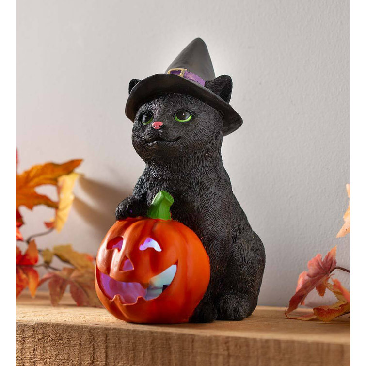 https://assets.wfcdn.com/im/48695506/resize-h755-w755%5Ecompr-r85/2199/219971552/Halloween+Cat+Figurines+%26+Collectibles.jpg