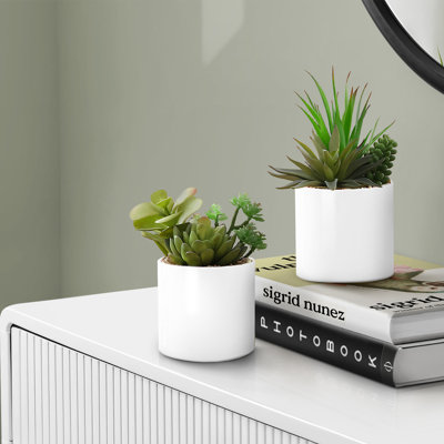 Lot de 2 plantes succulentes artificielles de 18 cm, fausse verdure d'intérieur en pots de céramique blanche
