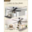 Ventilateur de plafond avec ensemble d'éclairage Lynnai